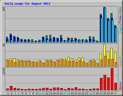 Daily usage for August 2013