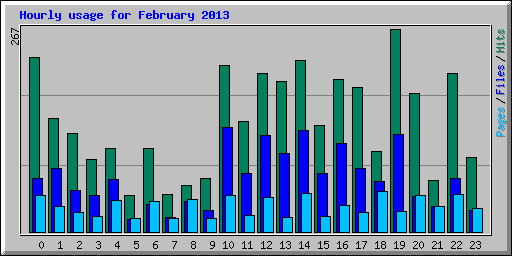 Hourly usage for February 2013