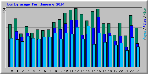 Hourly usage for January 2014